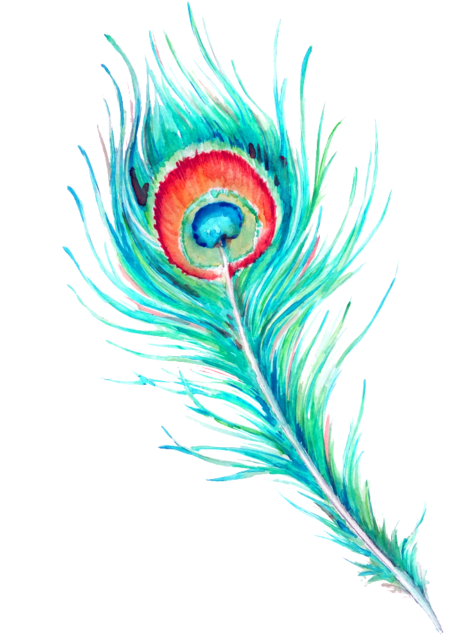 Watercolor Picture Feather Free Transparent Image HQ PNG Image