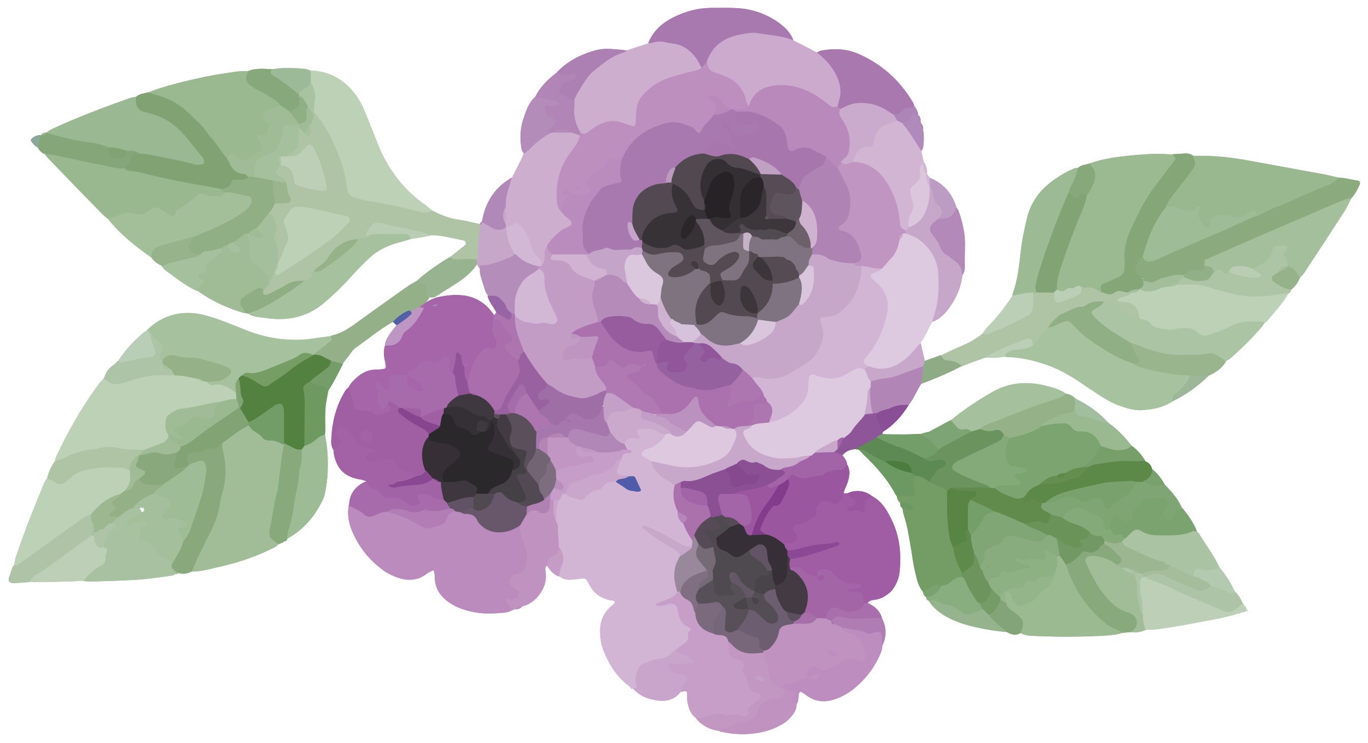 Watercolor Flower Free PNG HQ PNG Image