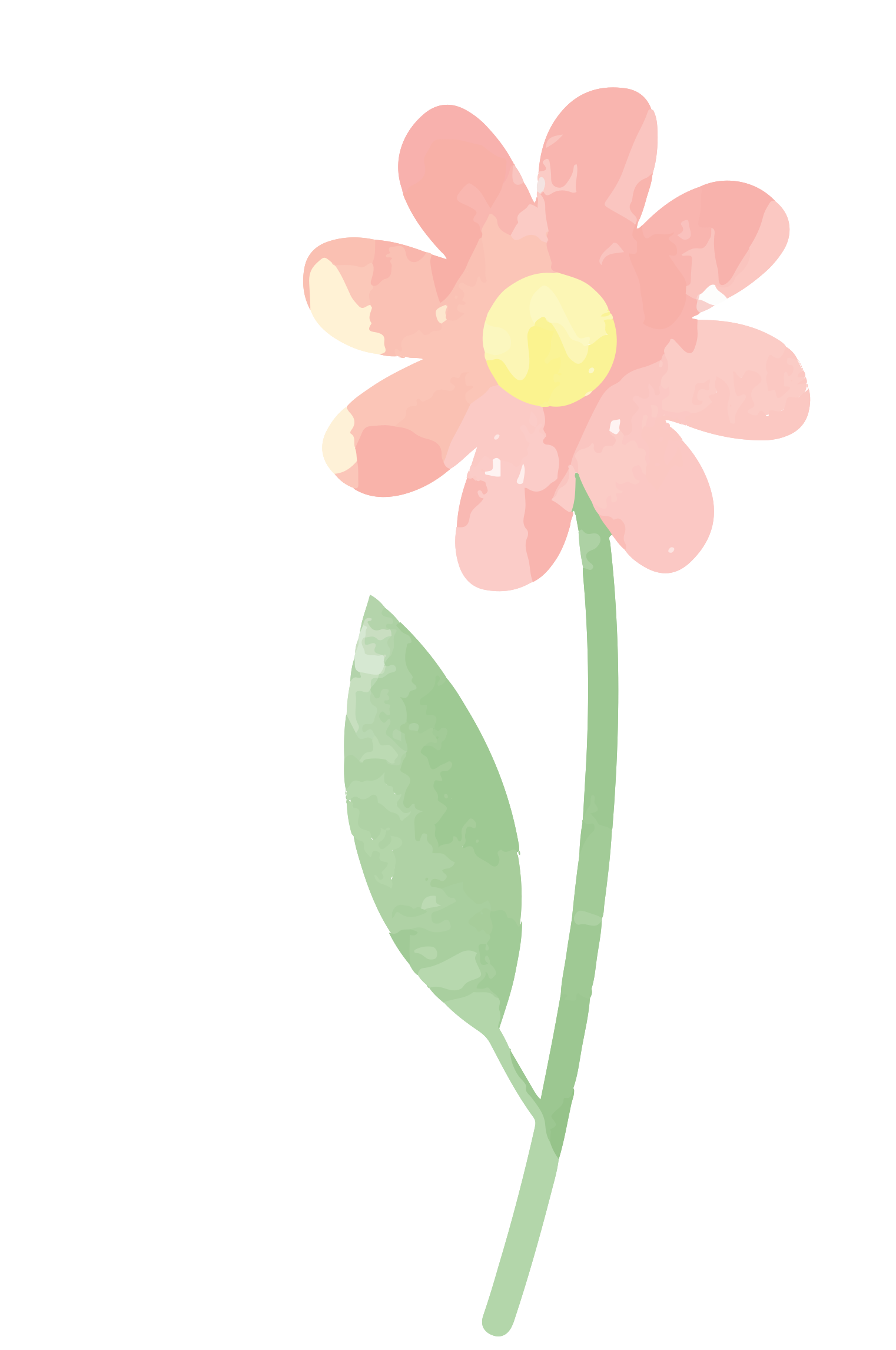 Watercolor Flower PNG Download Free PNG Image