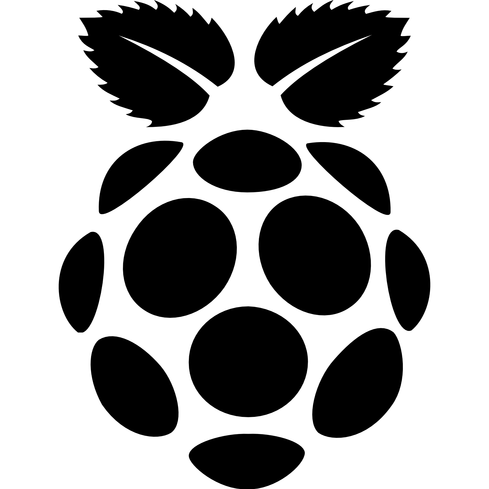 Web Raspberry Icons Computer Pi Raspbian Browser PNG Image
