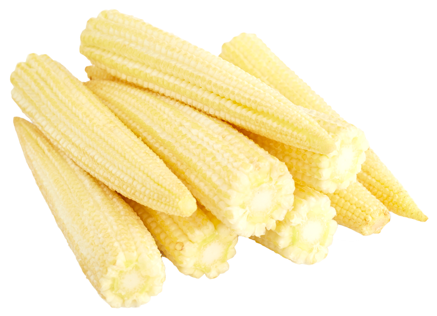 Baby Corn Seeds Cobs PNG File HD PNG Image