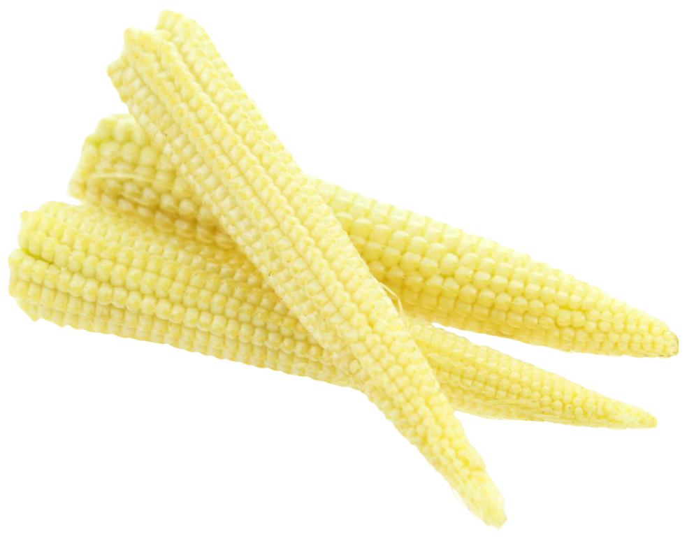 Baby Cornlets Corn Cobs Download HQ PNG Image
