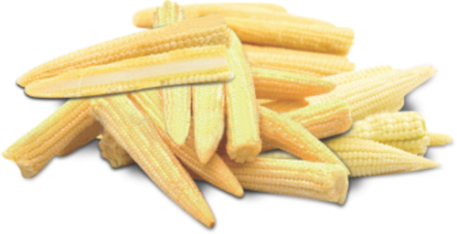 Baby Vegetable Corn Cobs Free Download PNG HD PNG Image
