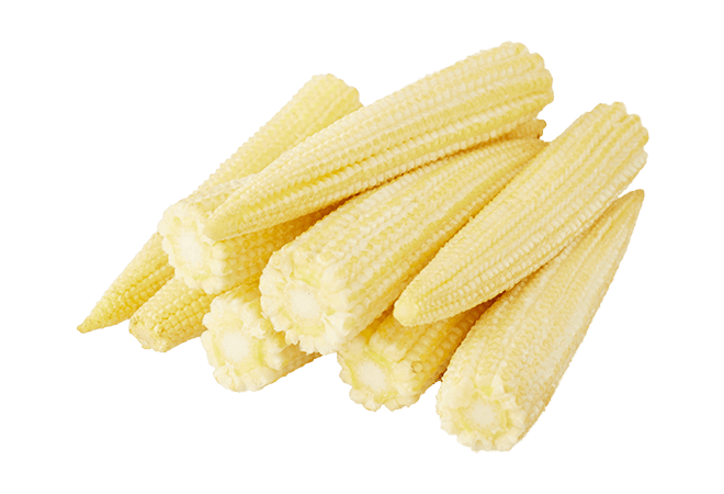 Baby Corn Mature Cobs Free Photo PNG Image