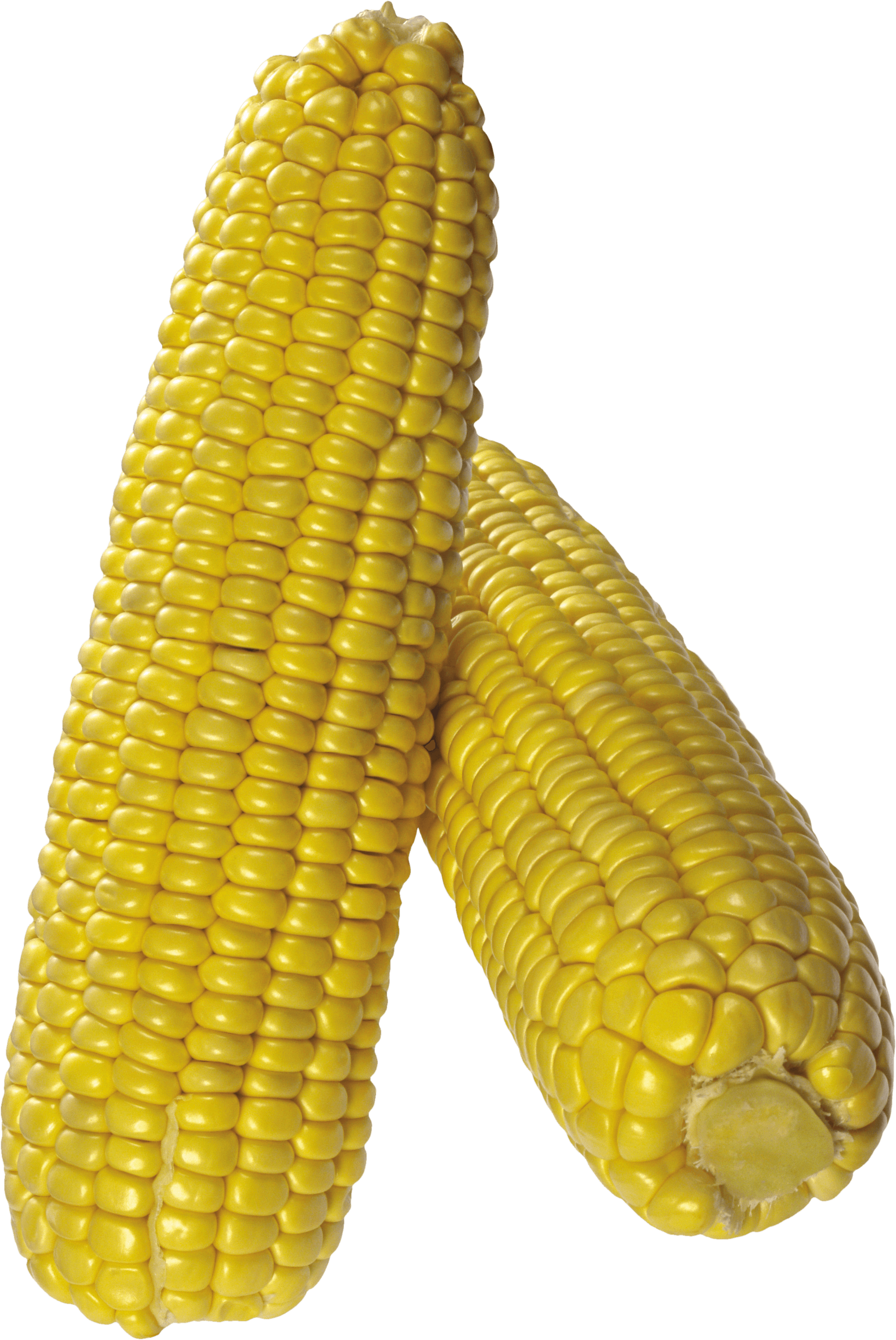 Corn Png Image PNG Image