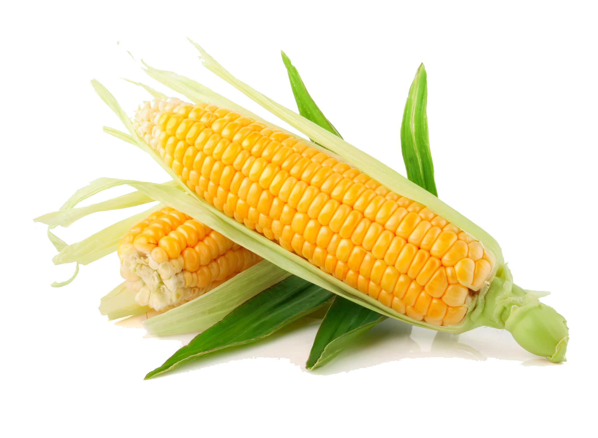 Corn PNG Image