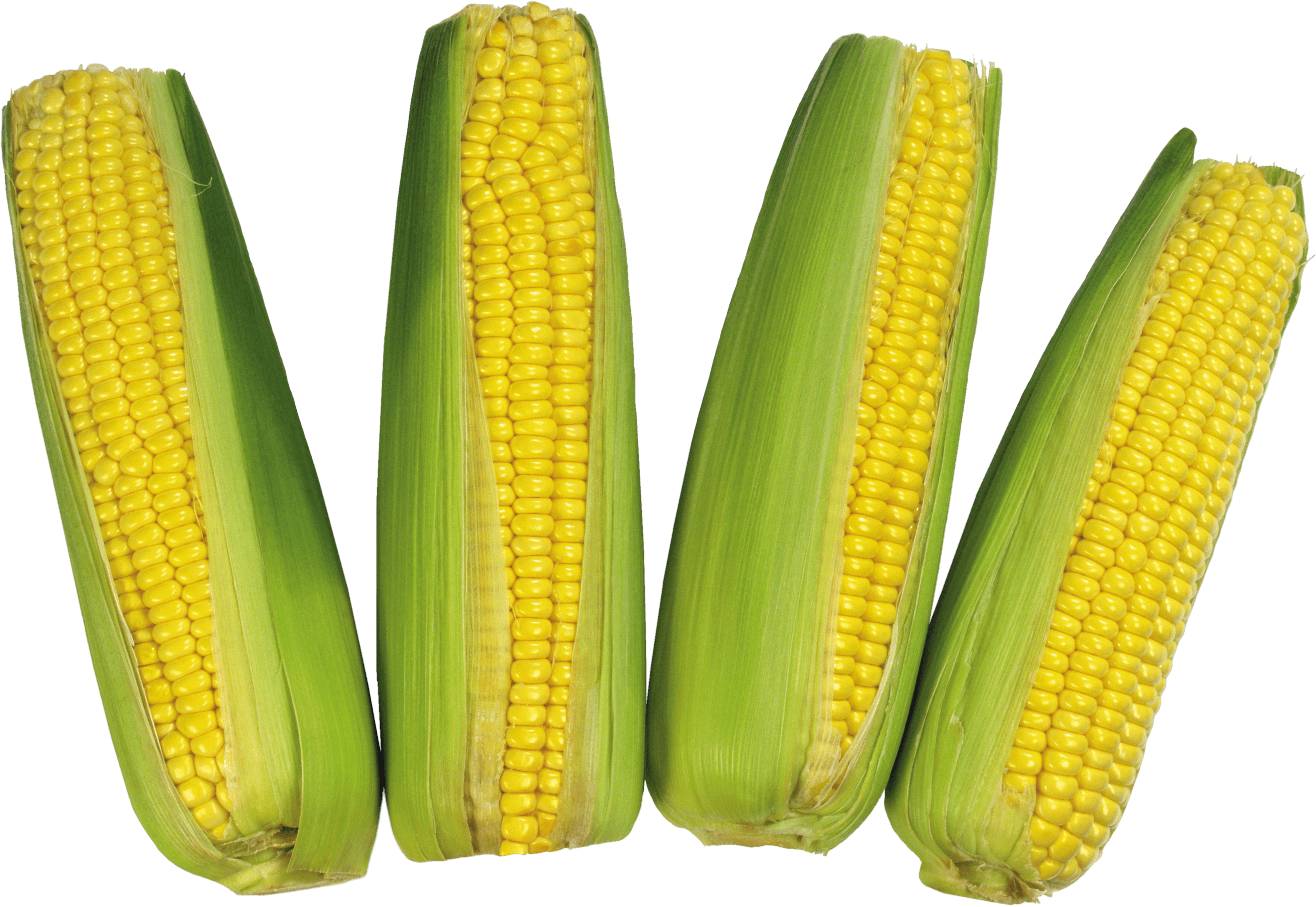 Corn Png Image PNG Image