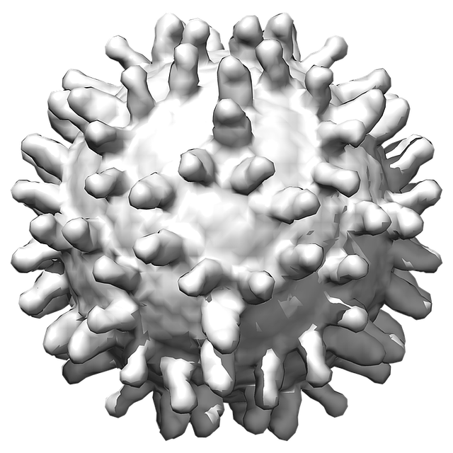Coronavirus PNG Image High Quality PNG Image