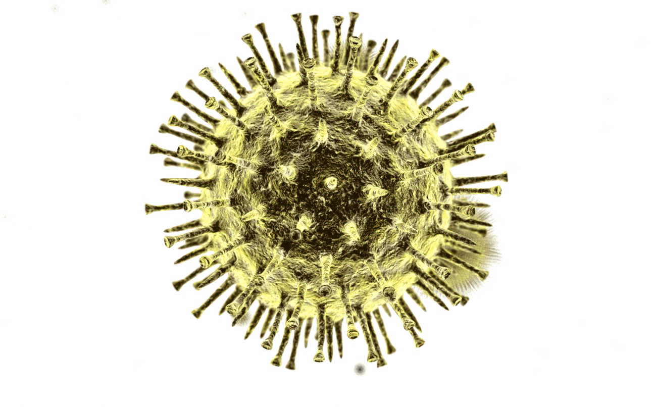 Coronavirus Disease PNG File HD PNG Image