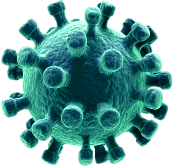 Coronavirus Disease Download HD PNG Image