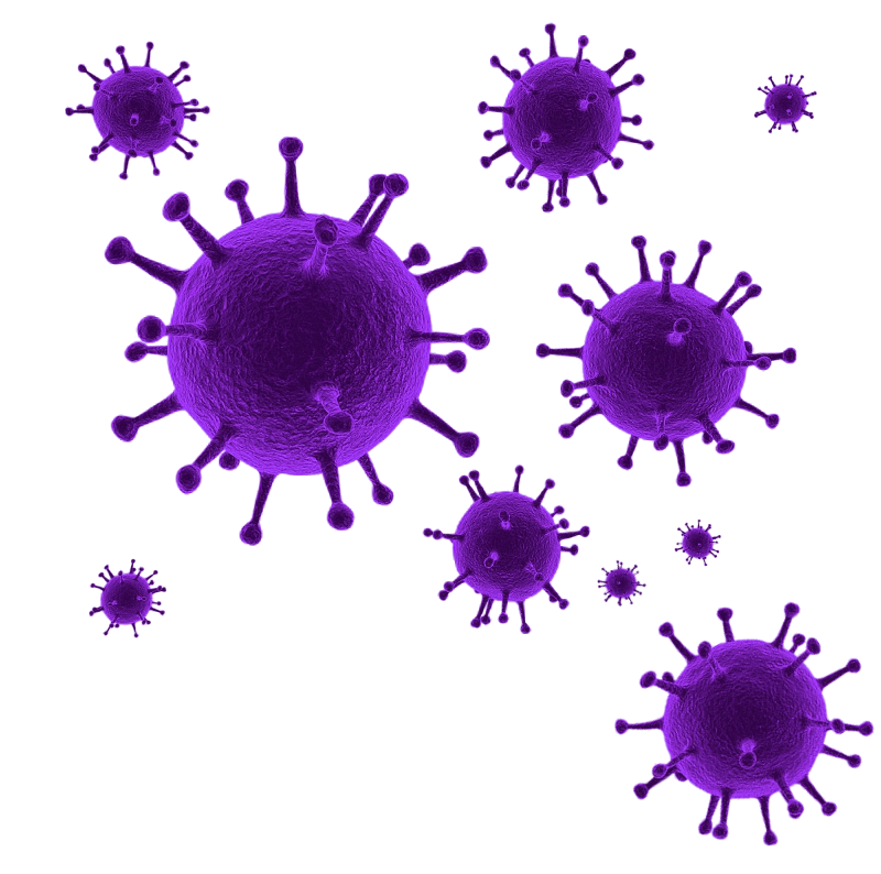 Coronavirus Disease PNG Image High Quality PNG Image