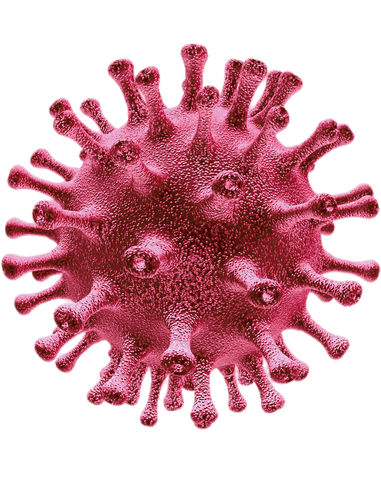 Coronavirus Disease Free Clipart HD PNG Image