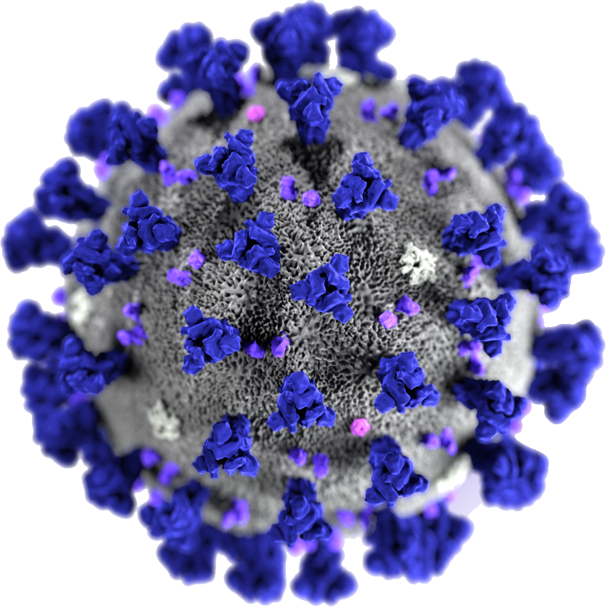 Virus Covid-19 Free Clipart HQ PNG Image