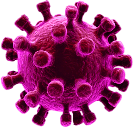 Virus Pic Covid-19 Download HD PNG Image