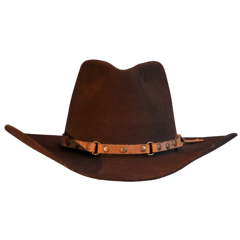 Download Cowboy Hat Png Hd HQ PNG Image FreePNGImg.