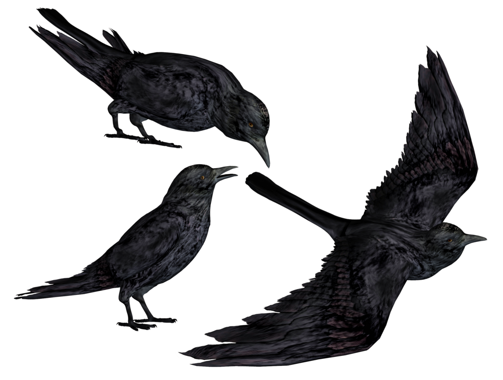 Crow Png Clipart PNG Image