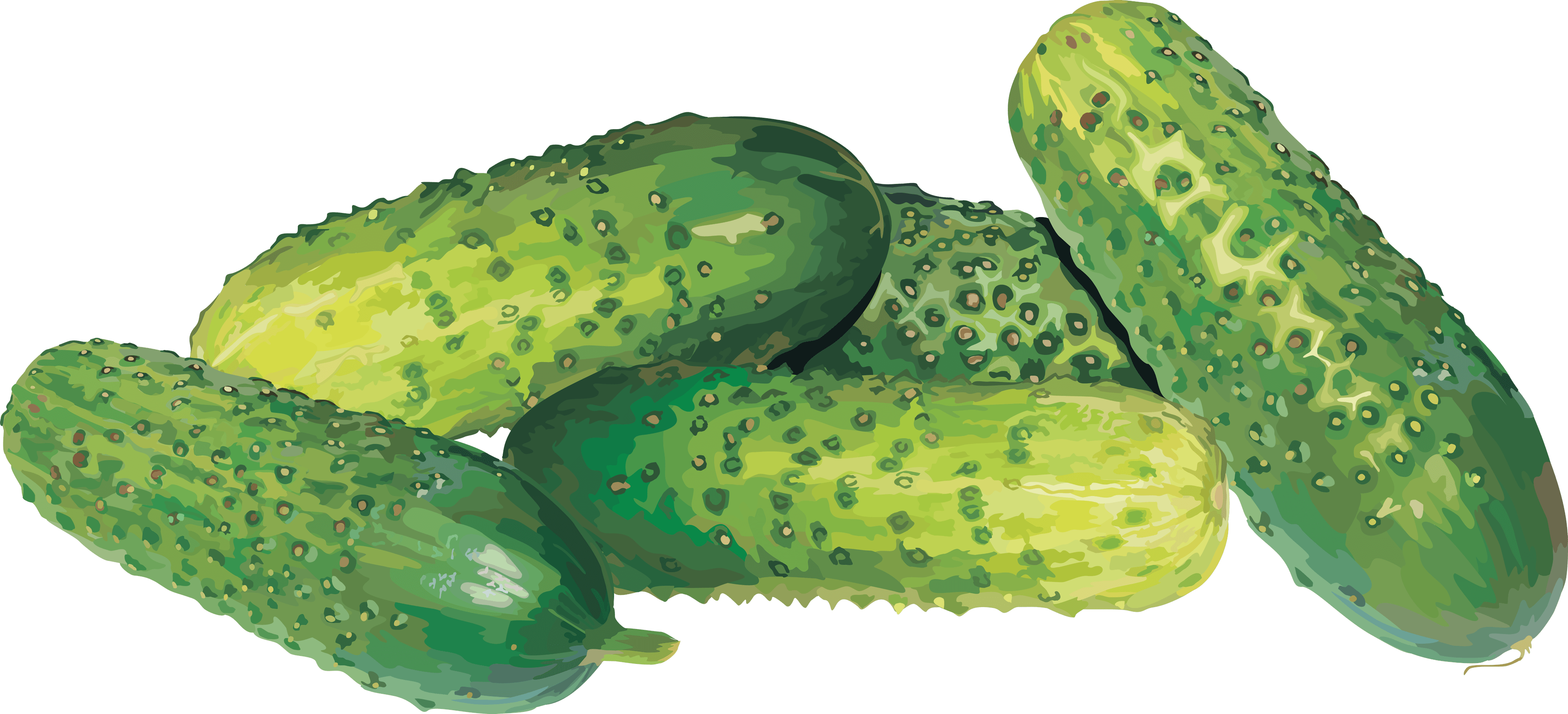 Cucumber Png Image Picture Download PNG Image