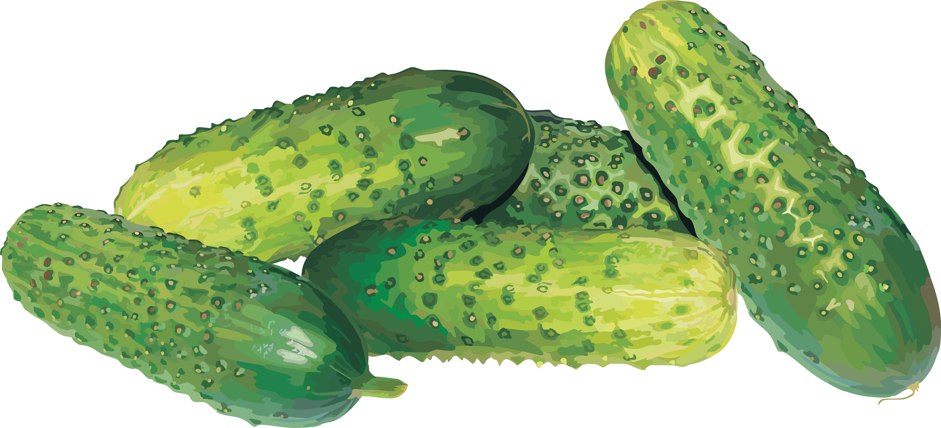Cucumber Free Download Png PNG Image