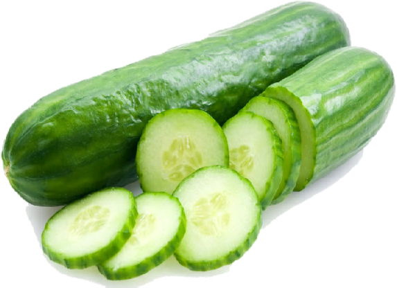 Cucumber Png Pic PNG Image