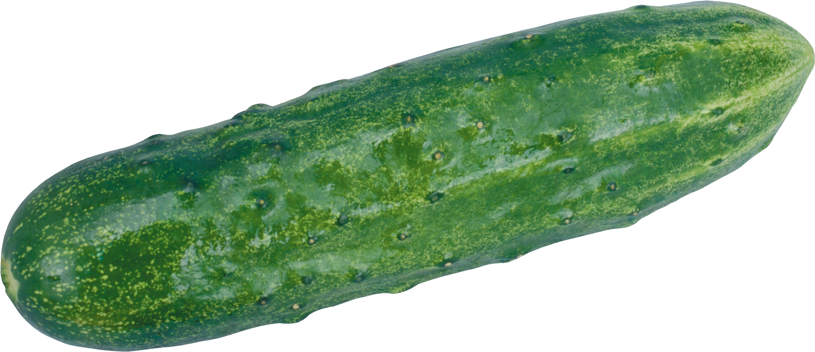 Cucumber Png Clipart PNG Image