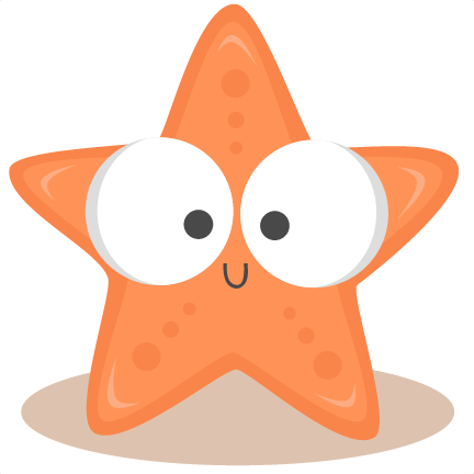 Cute Starfish Photo PNG Image