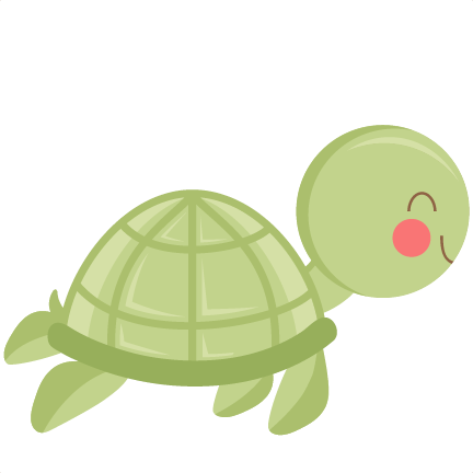 Cute Turtle Photos PNG Image
