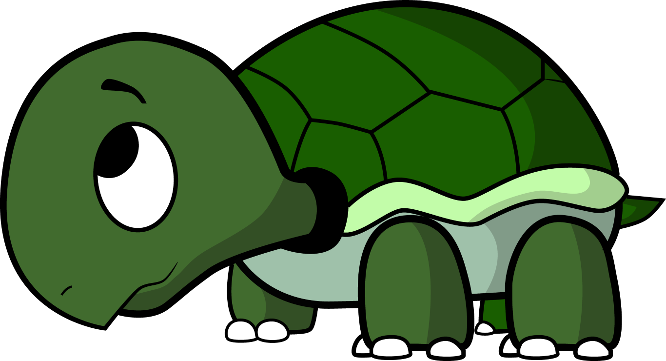 Cute Turtle Transparent Background PNG Image