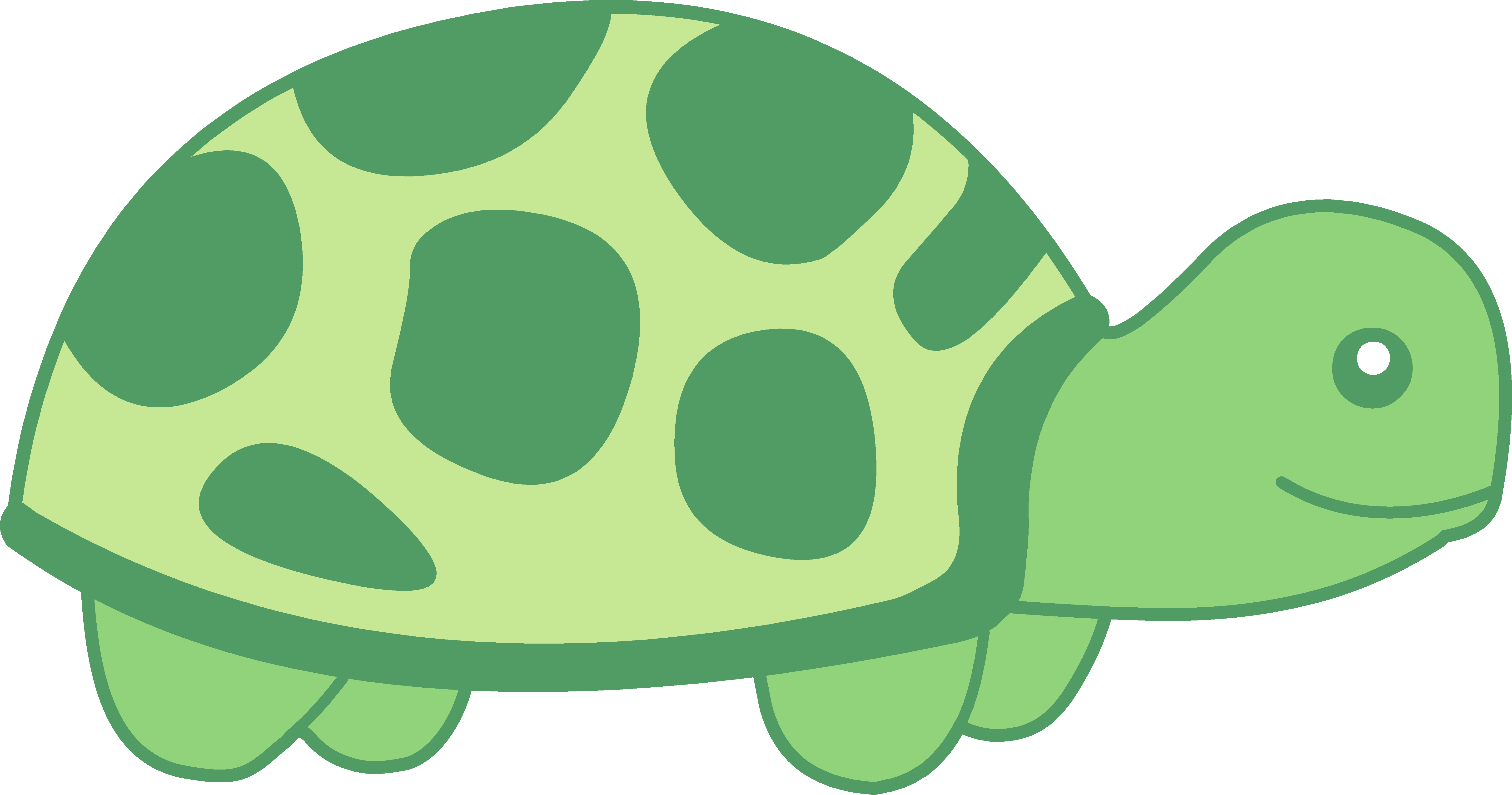 Cute Turtle Clipart PNG Image