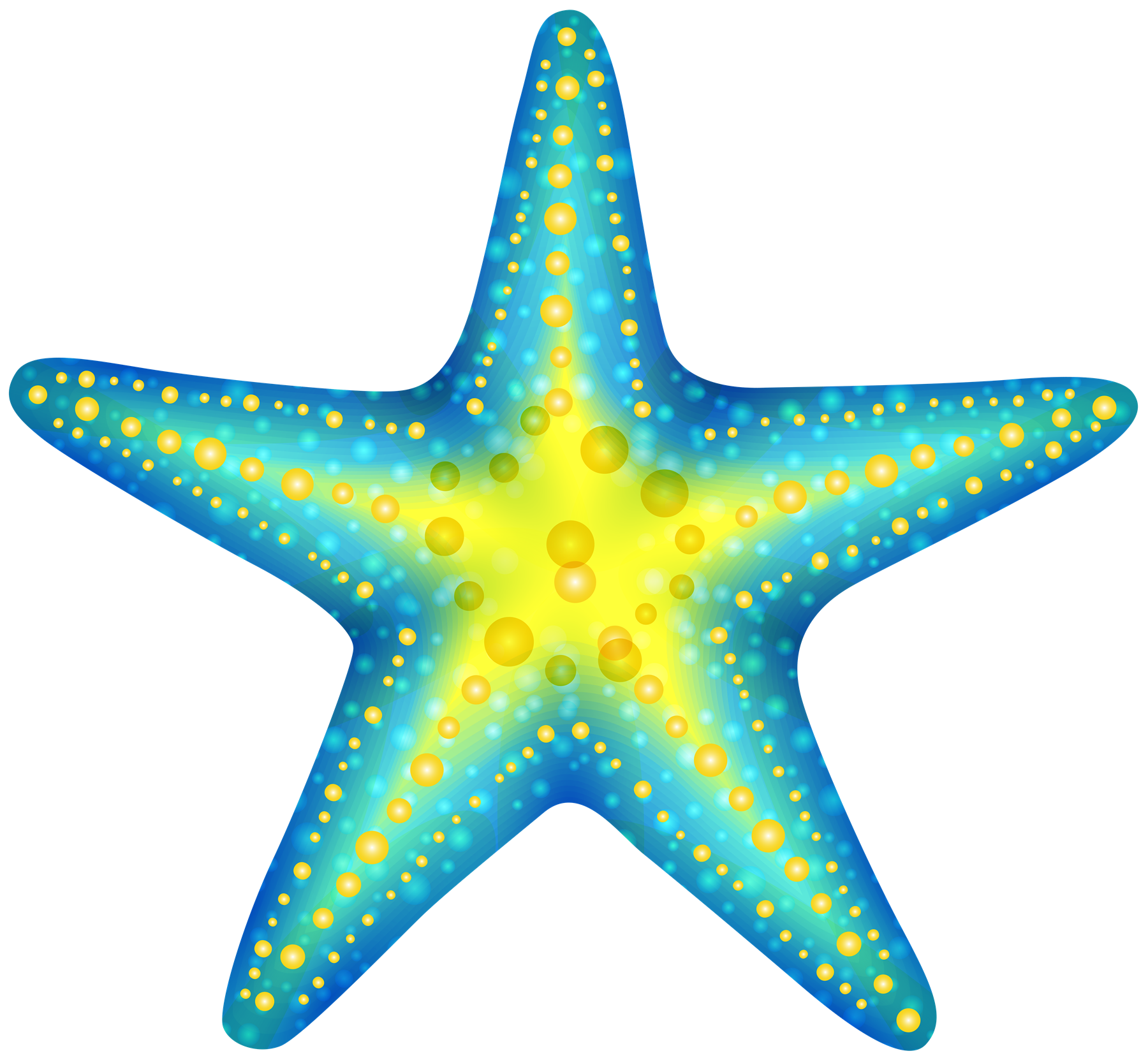 Cute Starfish Photos PNG Image