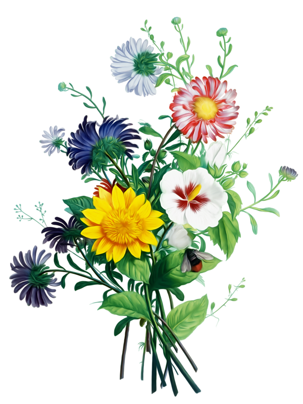 Bouquet Bride Plant Flower Chrysanths Free Transparent Image HQ PNG Image