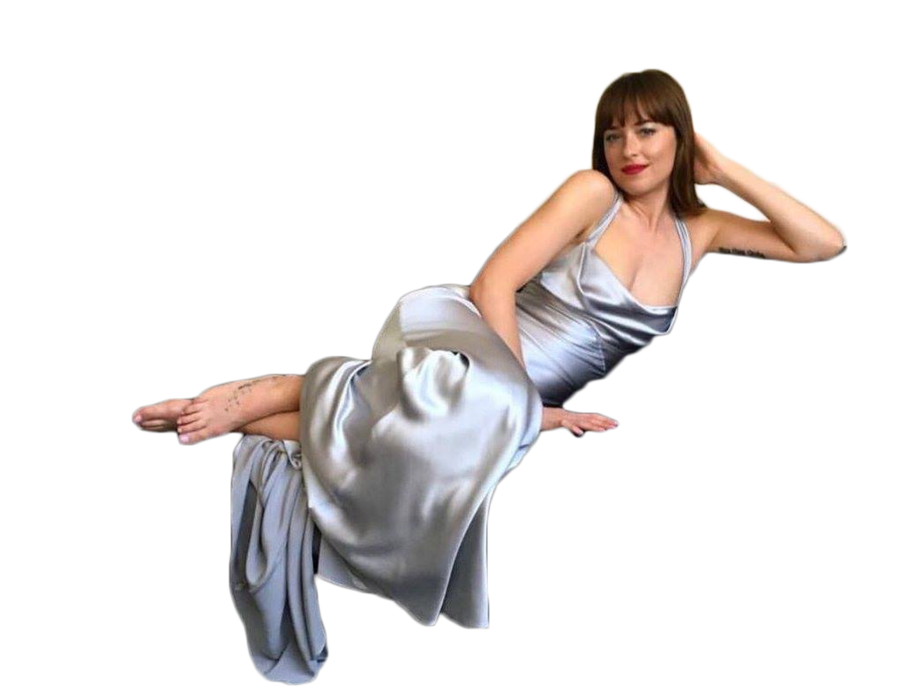 Dakota Johnson Photos PNG Image