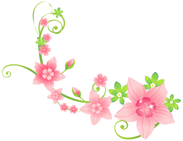 Floral Spring Decoration Photos Download HD PNG Image