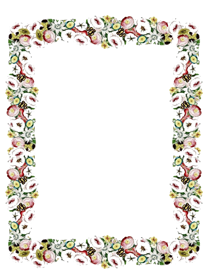Floral Vintage Frame Free Download PNG HQ PNG Image