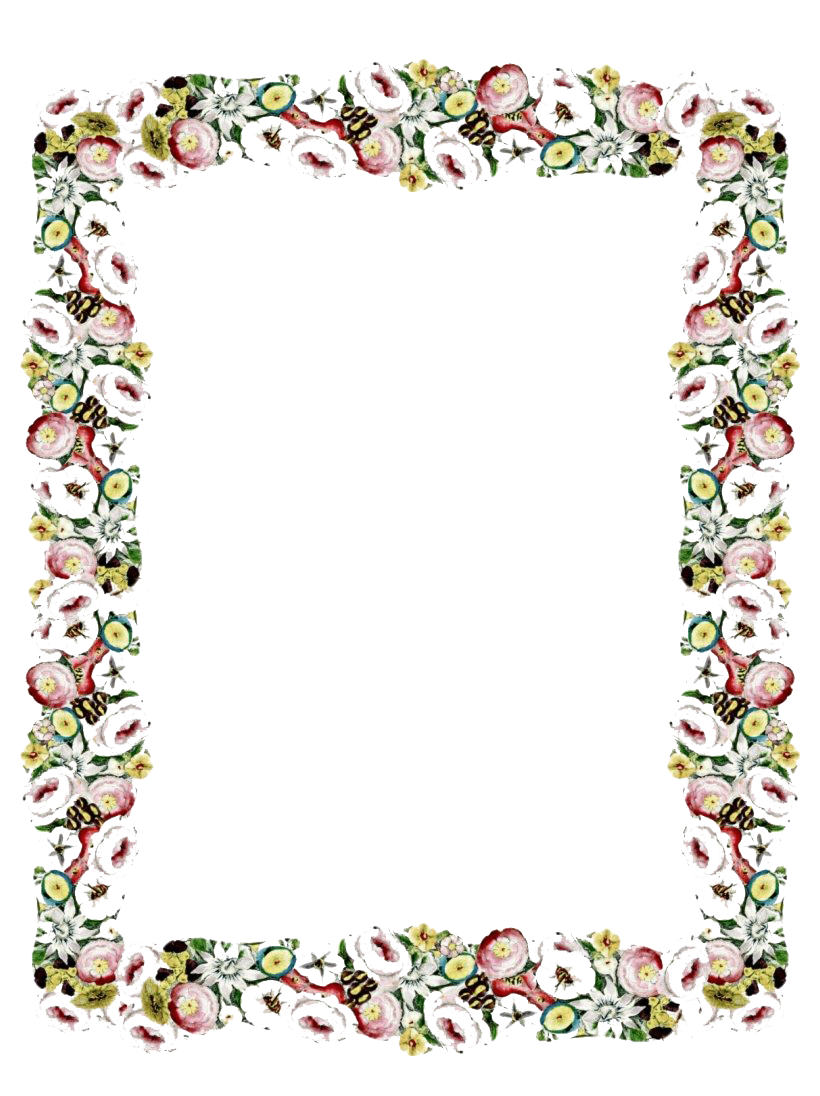 Floral Vintage Frame Free Download PNG HQ Transparent PNG Image