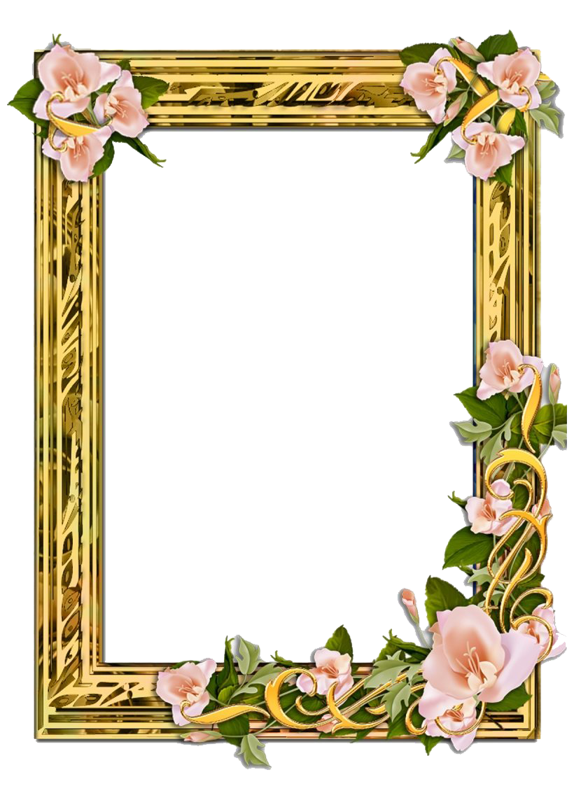 Poppy Frame Flower Free Clipart HQ PNG Image