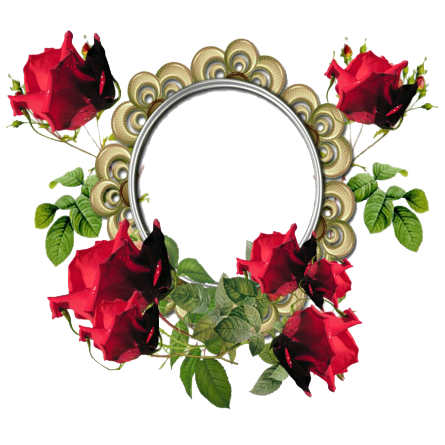 Poppy Frame Flower Round Free Download PNG HD PNG Image