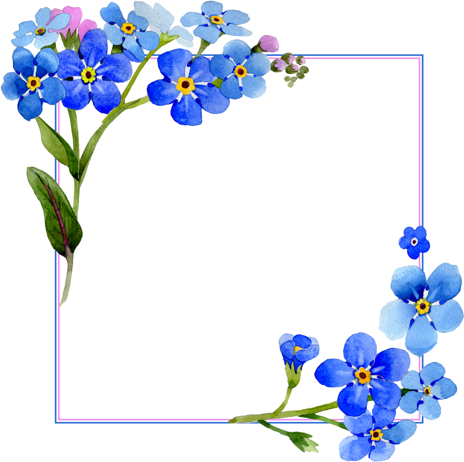 Blue Frame Flowers HQ Image Free PNG Image