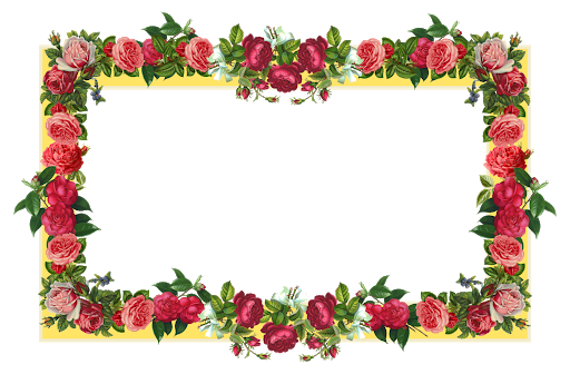 Frame Flowers HD Image Free PNG Image