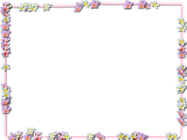 Frame Flowers Border PNG Image High Quality PNG Image