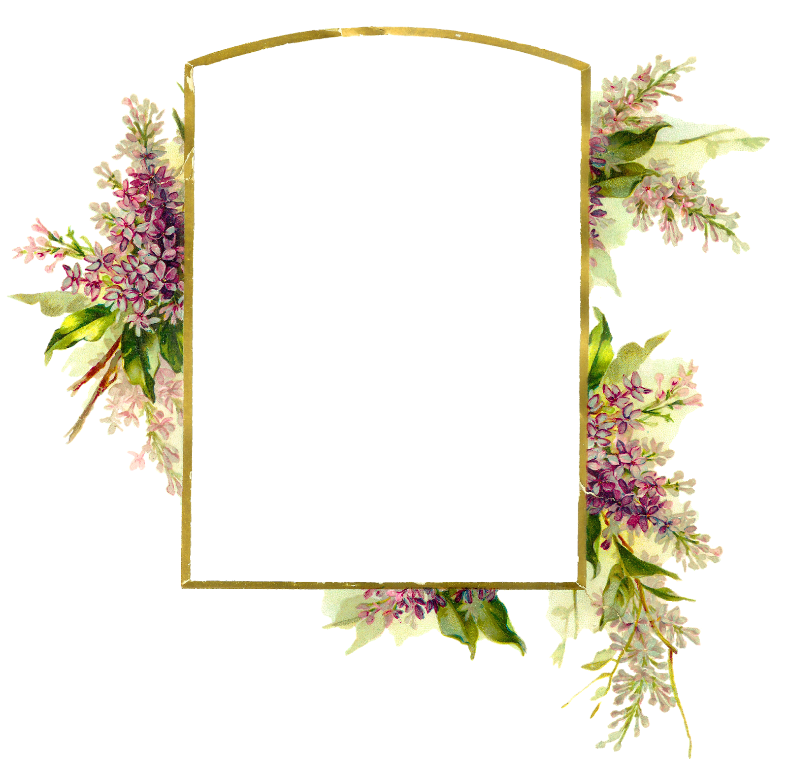 Frame Flowers Wedding Free Download Image PNG Image