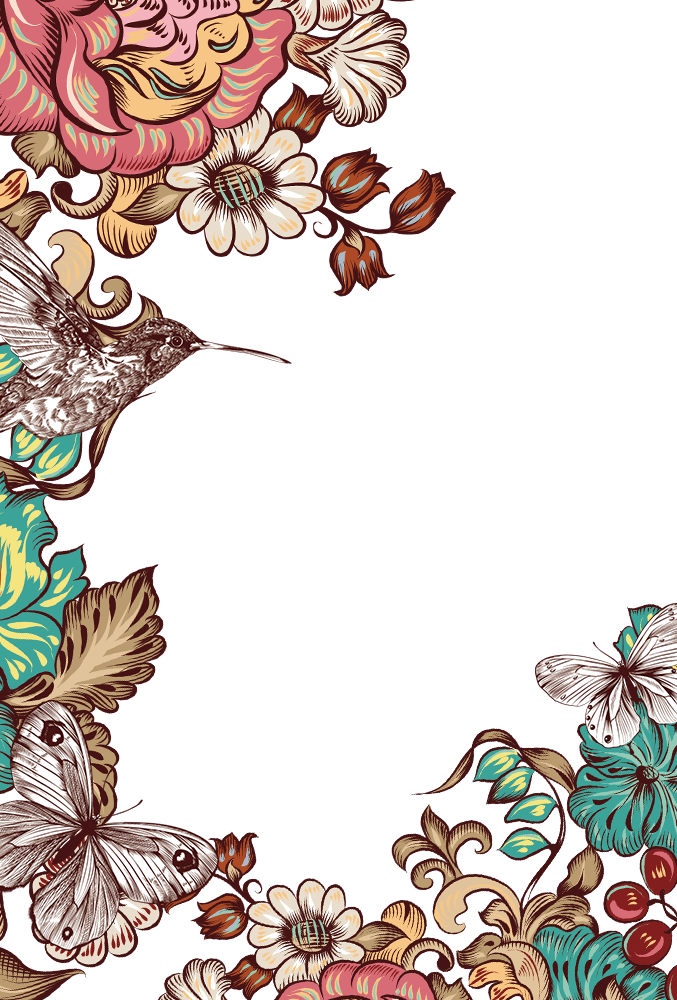 Butterfly Frame Flower Border PNG Free Photo PNG Image