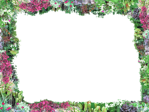 Frame Square Border Flower PNG File HD PNG Image