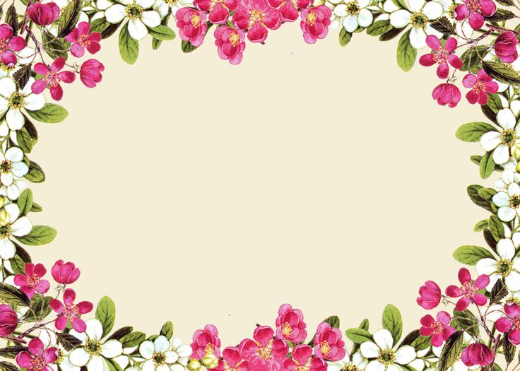 Pink Flower Frame Photos PNG Image
