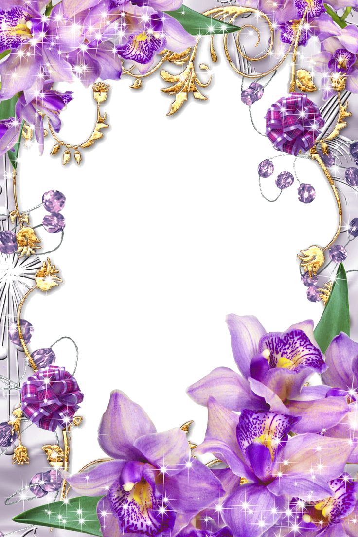 Purple Border Frame Transparent Image PNG Image