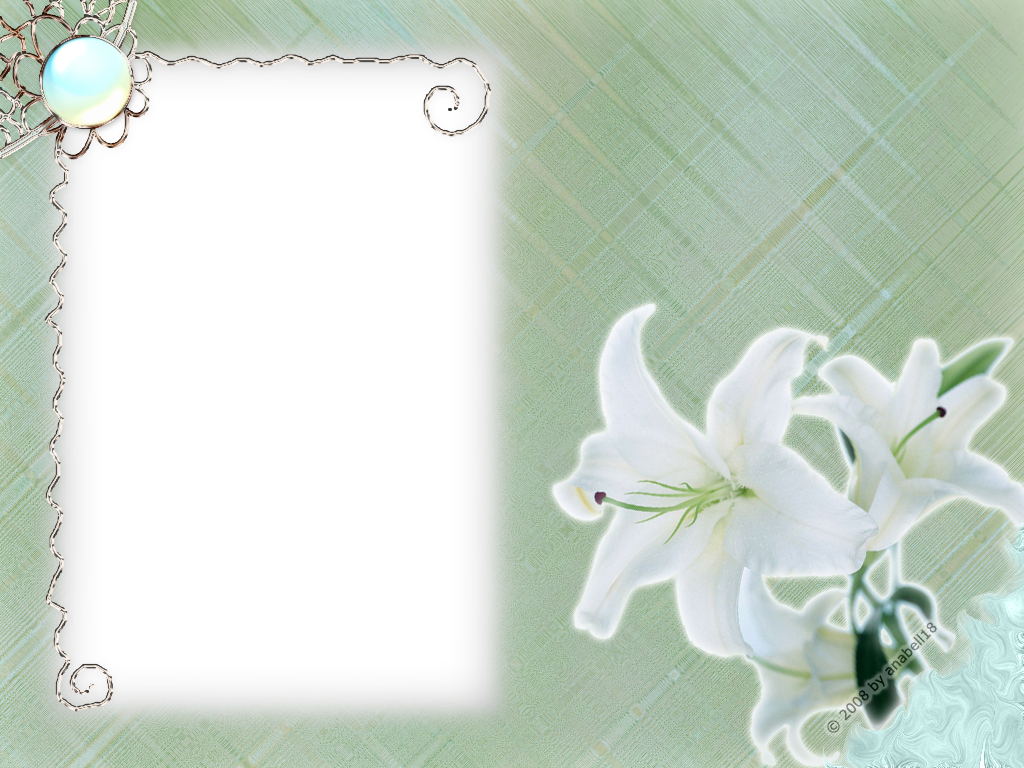 White Flower Frame Transparent PNG Image