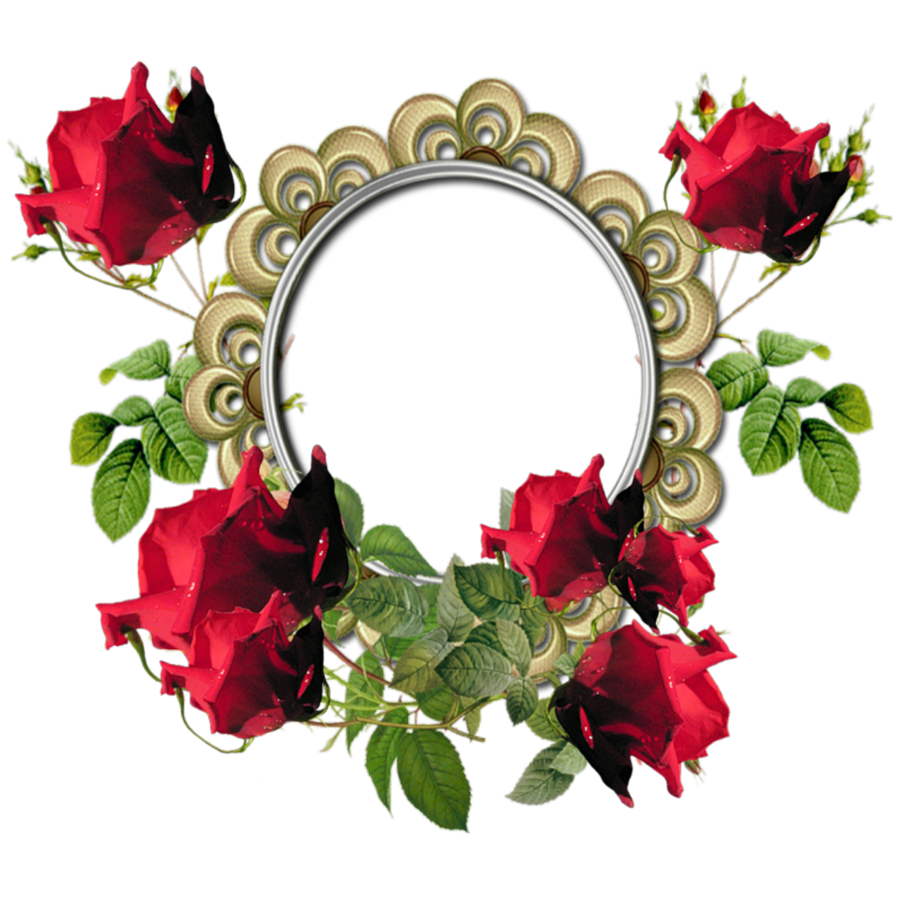 Red Flower Frame Photos PNG Image