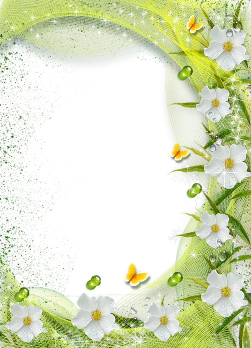 White Flower Frame Transparent Background PNG Image