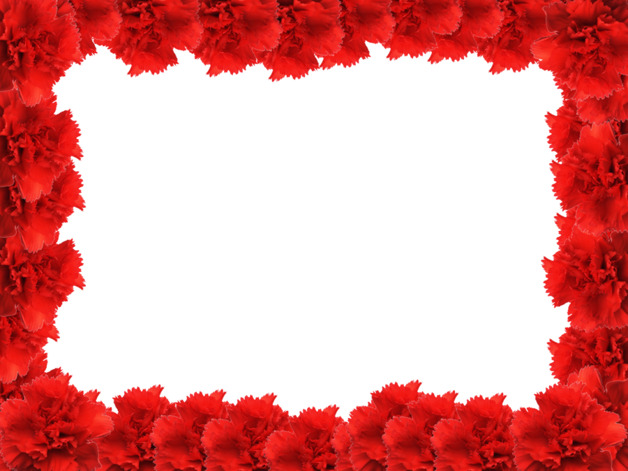 Red Flower Frame Photo PNG Image