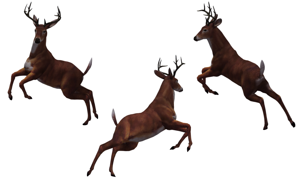 Deer Free Download Png PNG Image