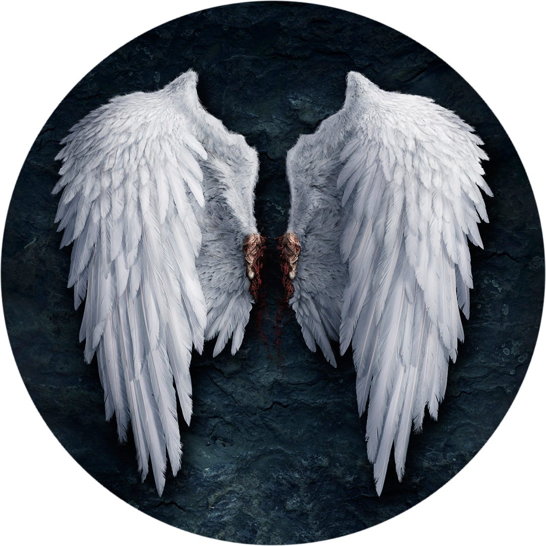 Feather Lucifer Castiel Angel Wing PNG File HD PNG Image